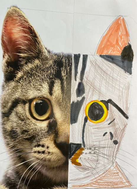 drawing of a cat