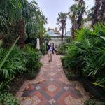 man walking down the garden area