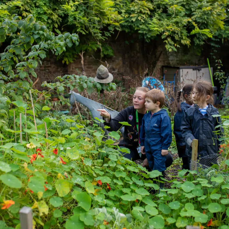 group of young children and a teacher outdoors