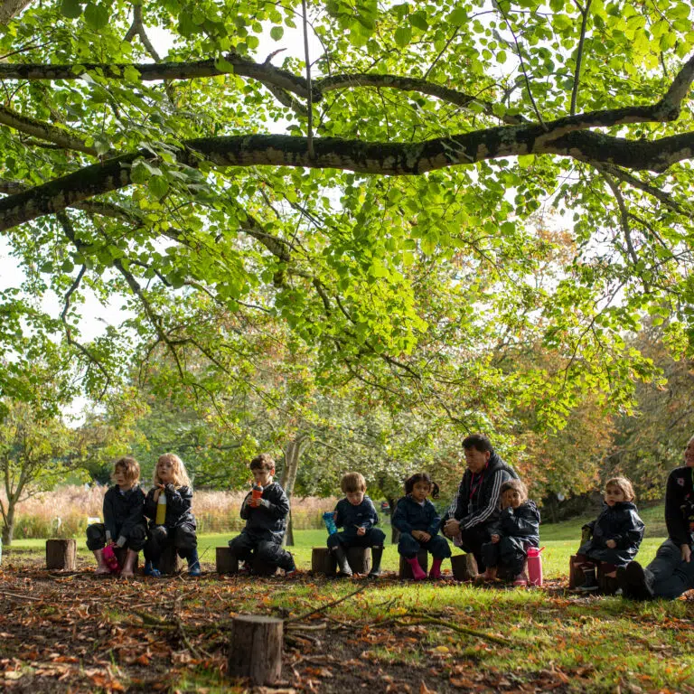 group of young children and teachers sitting under a tree