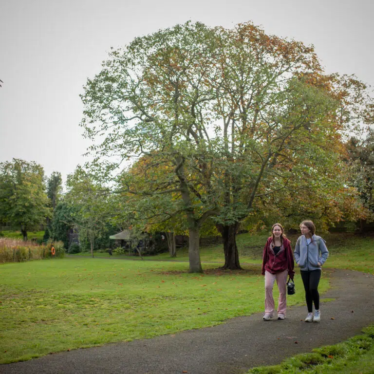 students on an autumnal walk