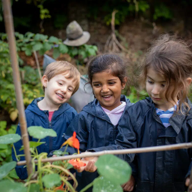 students looking at plants